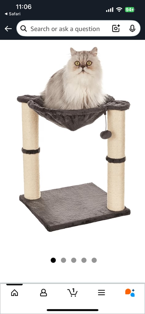 Cat scratch pole