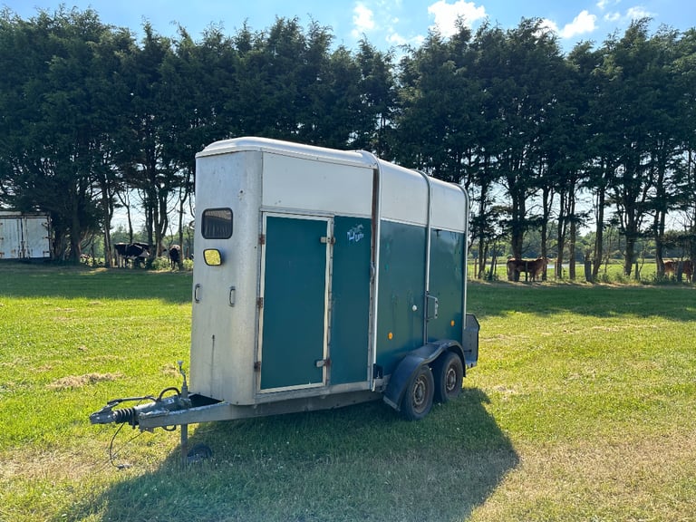 Ifor Williams HB505R horse trailer