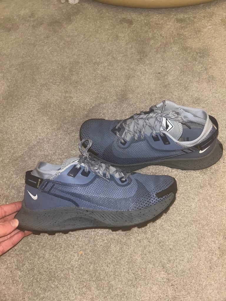 image for Nike pegasus goretex