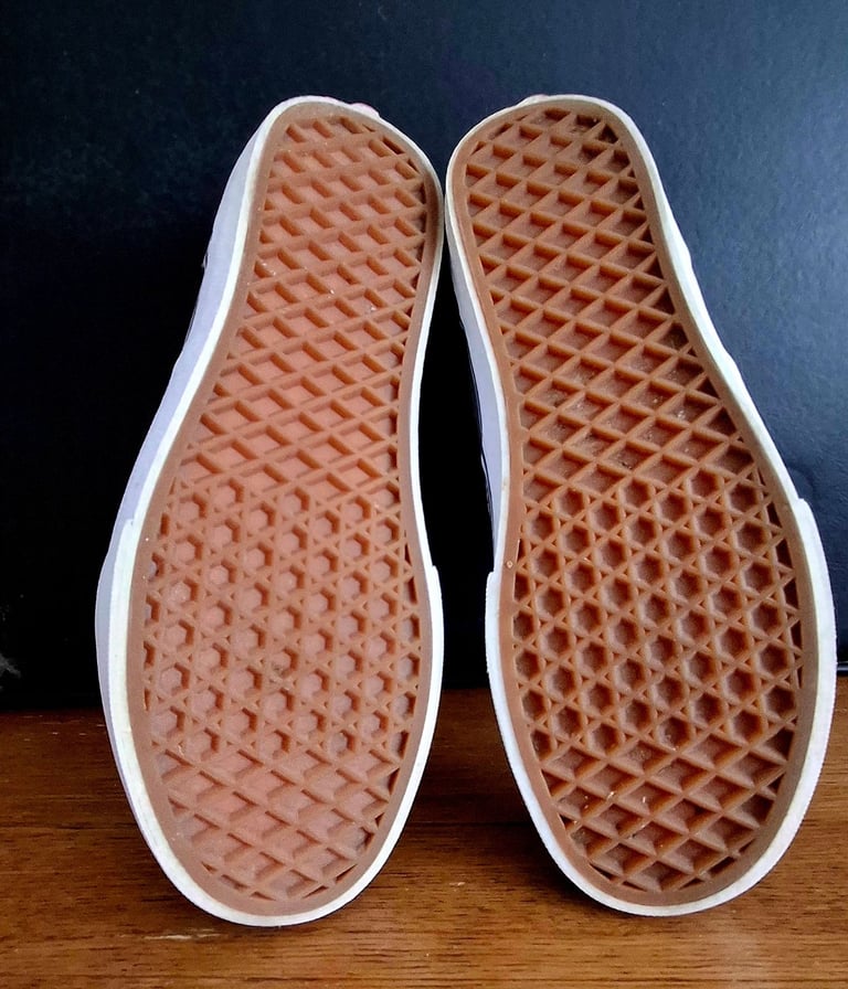 Vans Winston trainers 
