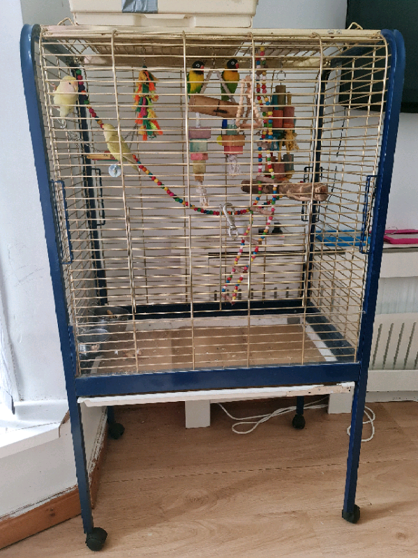 Love bird breeding cage