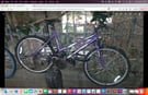 Apollo mountain bike small to medium central London bargain