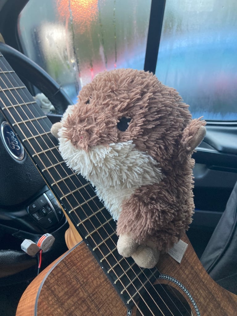 Acoustic Band Startup