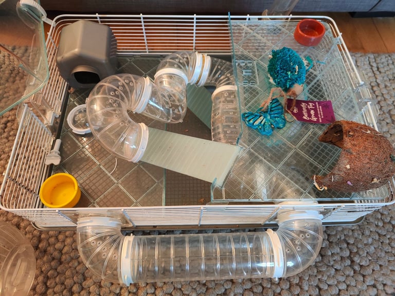 Hamster cage and accessories 