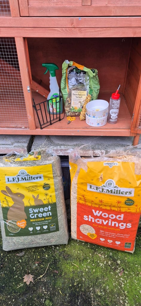 Rabbit/guinea pig hutch
