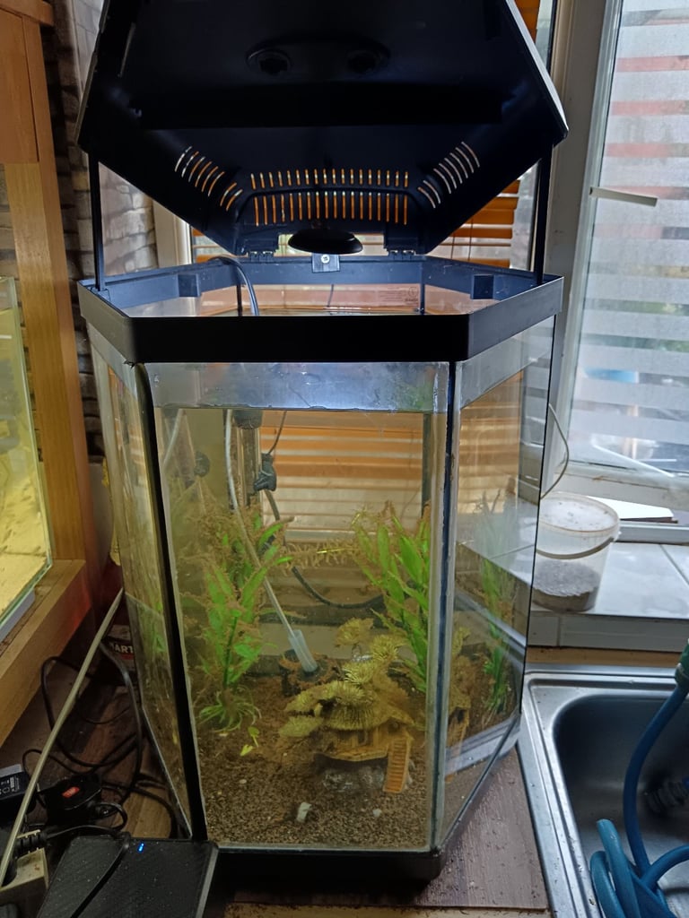Fish tank sold has seen will need clean 