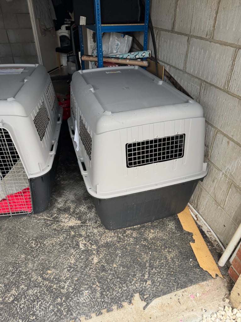 image for Dog Transport Box