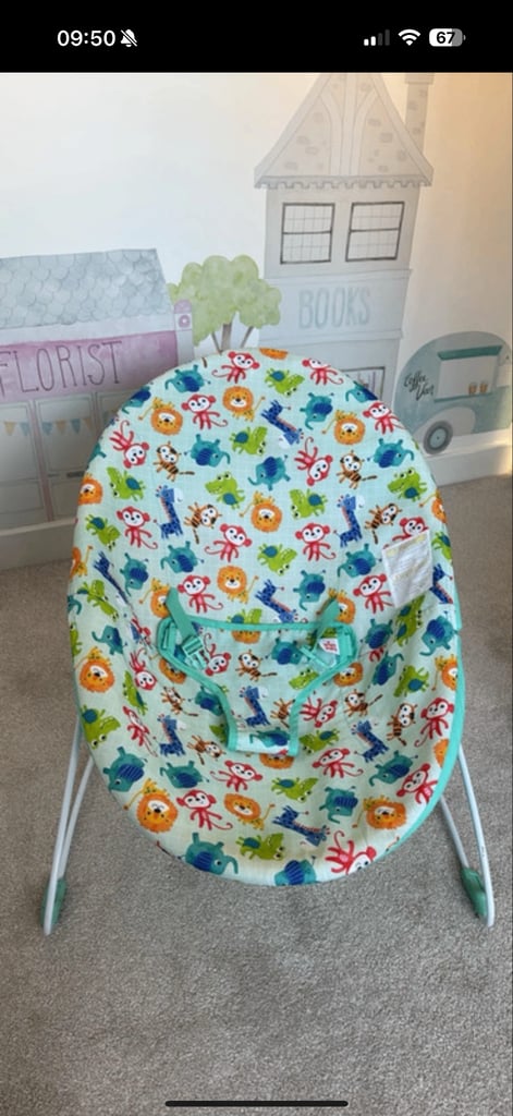 Lightweight Baby Bouncer