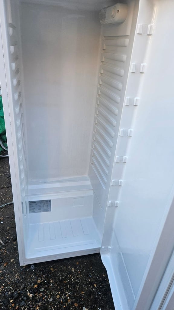 Tall fridge / free delivery 