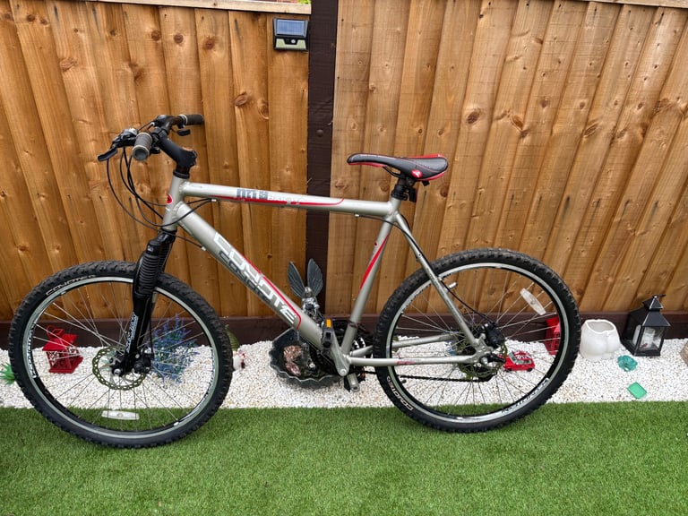 image for Men’s mountain bike 