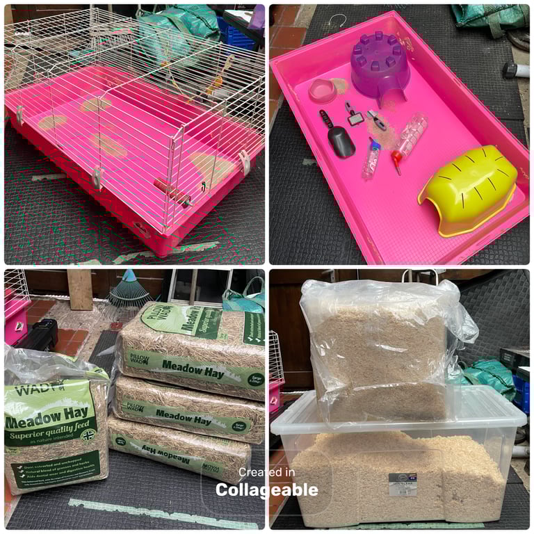 Guinea pig cage starter kit. 