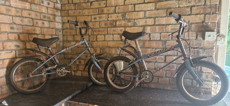 Raleigh Boxer x2