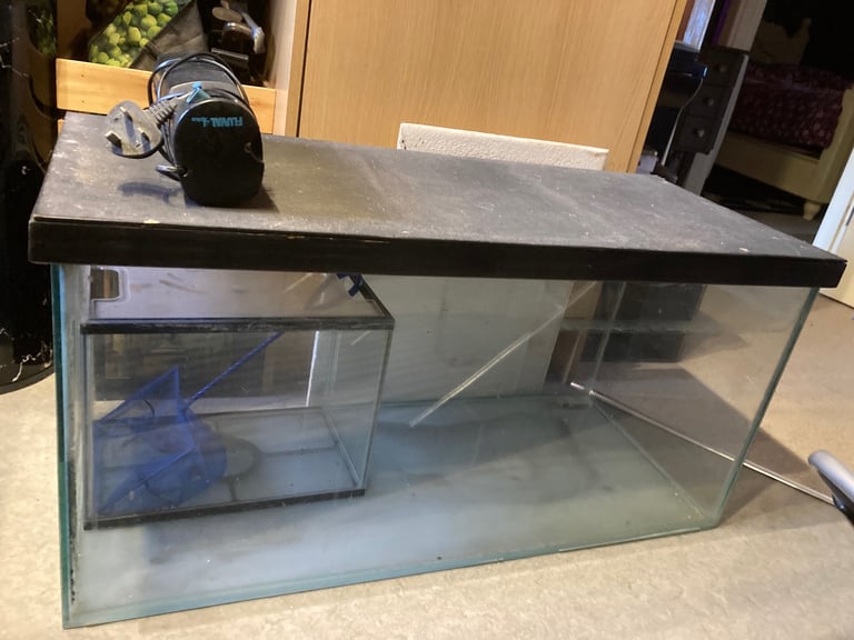 Large Tank, Fish/Reptile.