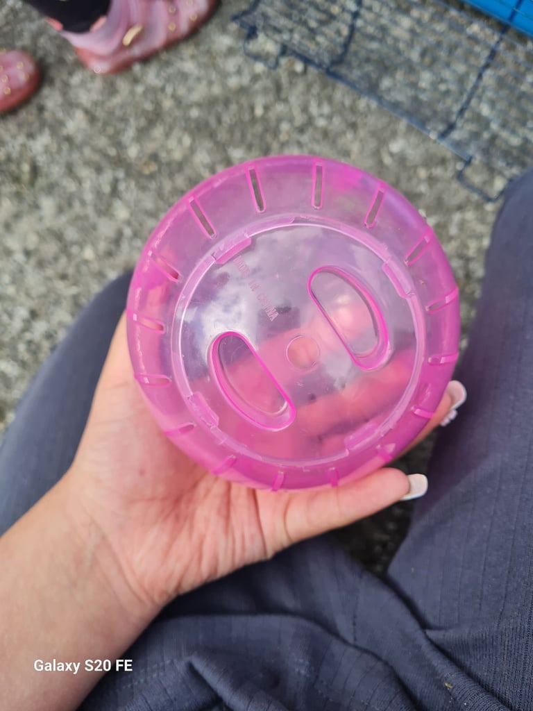 Hamster/guinea-pig or small pets