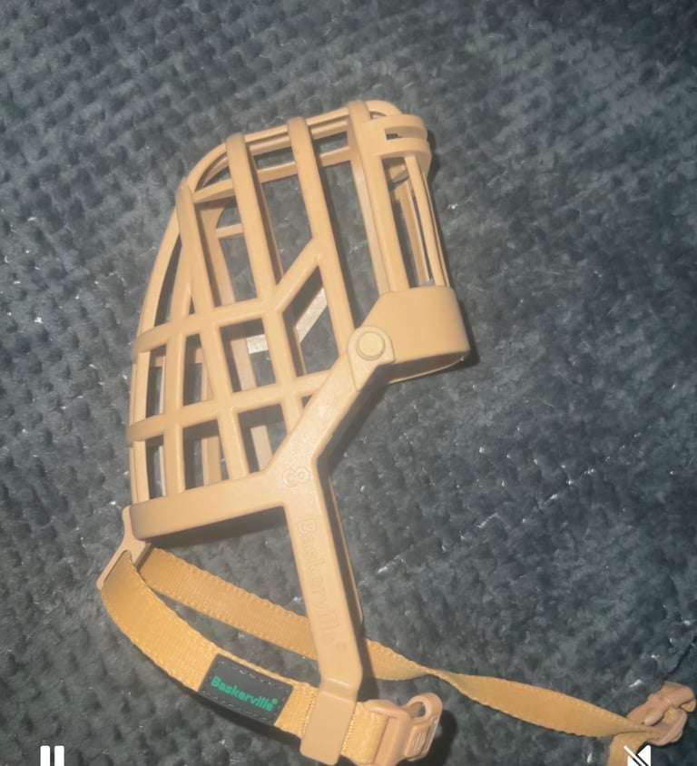 Muzzle for large dog 