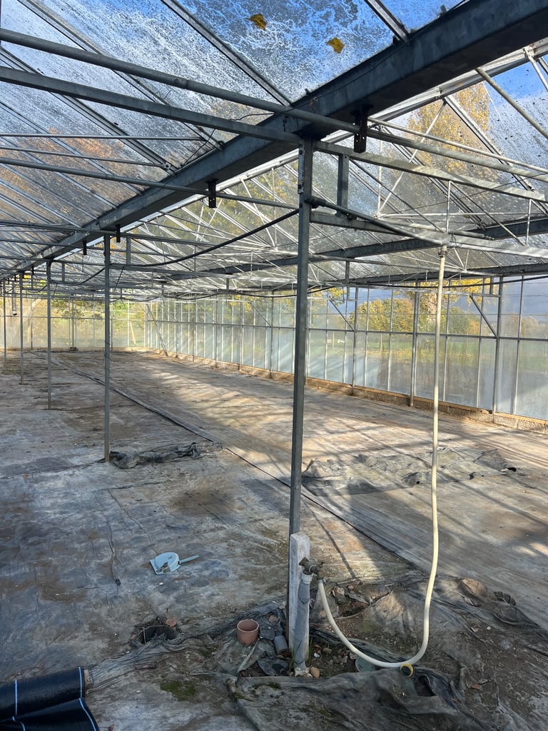 image for Nursery for rent