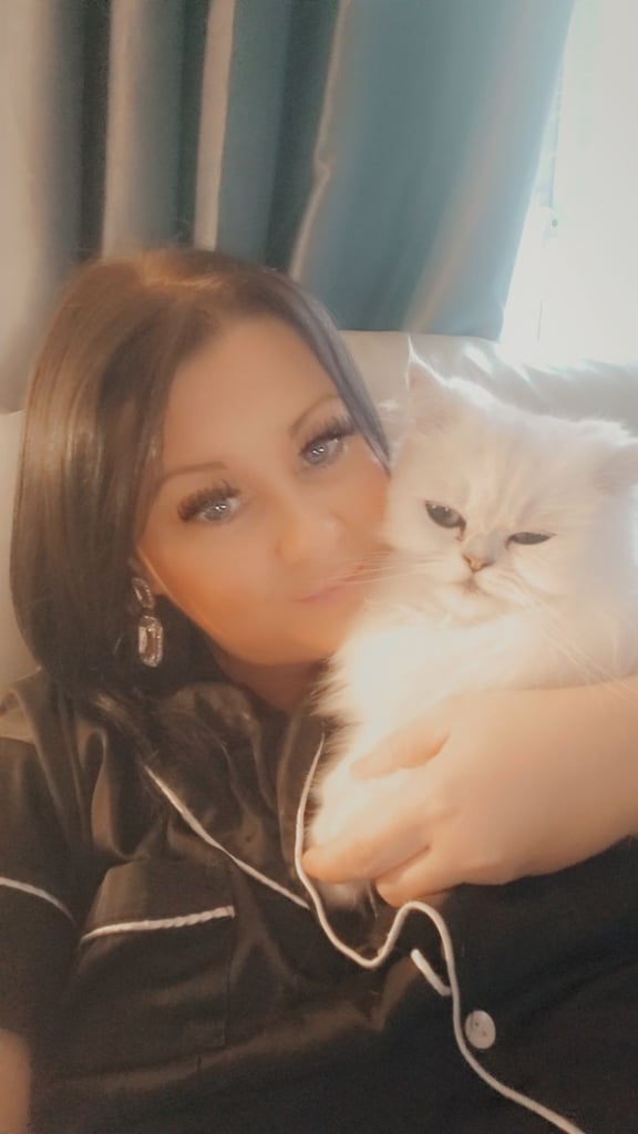 White persian indoor cat for sale