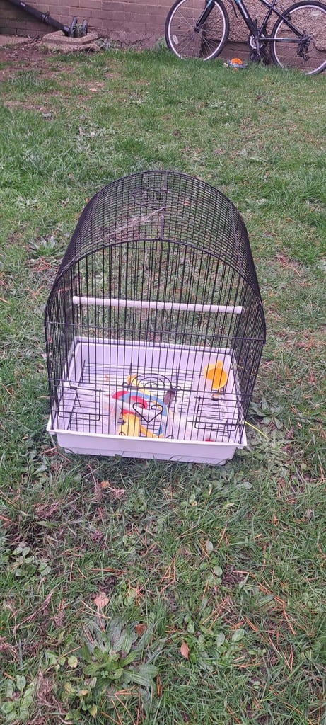 image for Small bird cage 