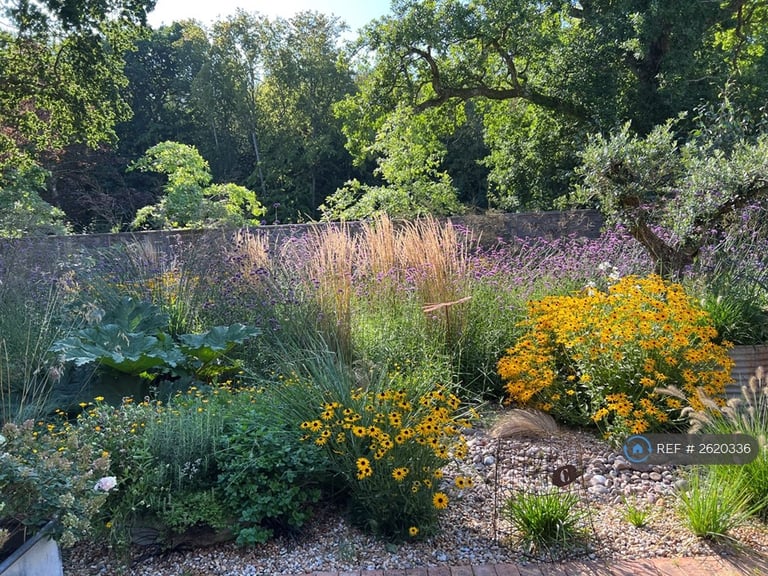 3 bedroom house in Starvecrow Lane, Peasmarsh, Rye, TN31 (3 bed) (#2620336)