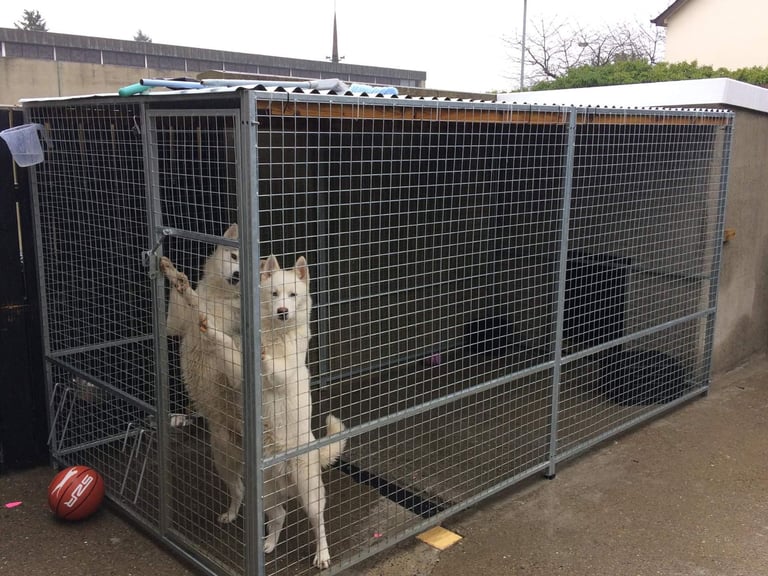New galvanised dog cages pens enclosures  and kennels