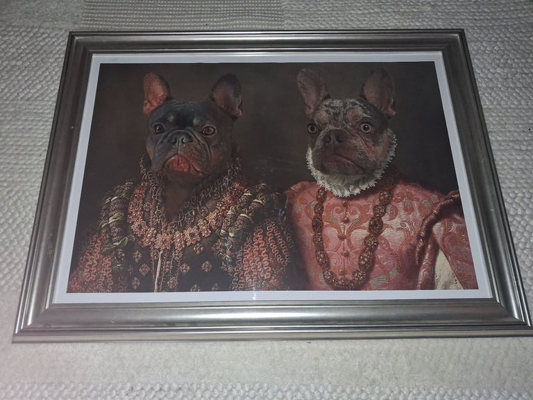 image for Large french bulldog picture 