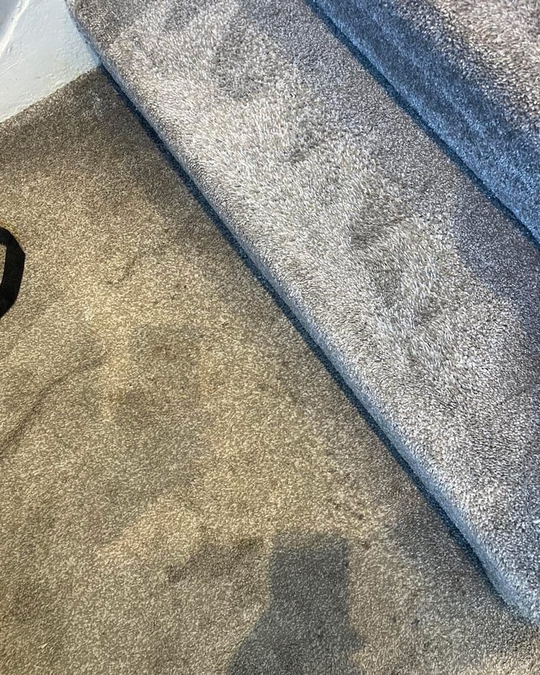 Carpet cleaner