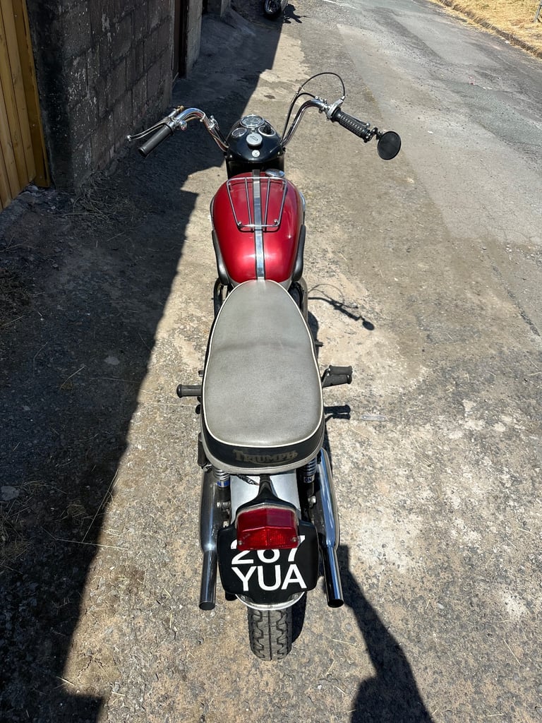 Triumph tiger 110 1960