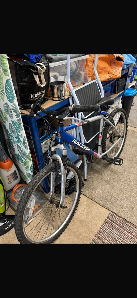 Raleigh Bike ( bargain )