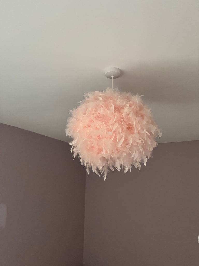 image for Feather lamp shade