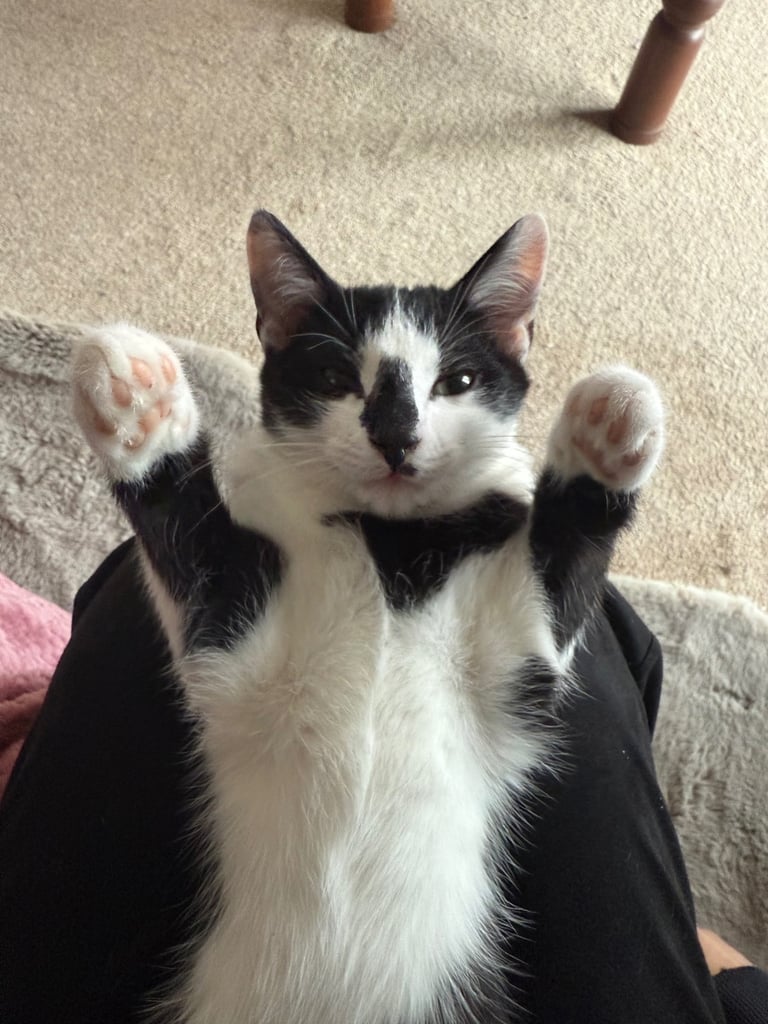 Hand Reared From 2 Weeks Cutest Babies Ever!