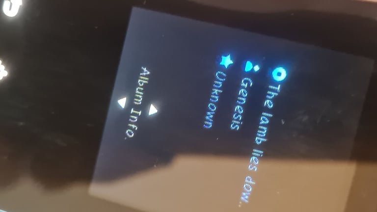 Samsung s5 tilt and slide speaker 2gb mp3 player. Fully Working and in great condition