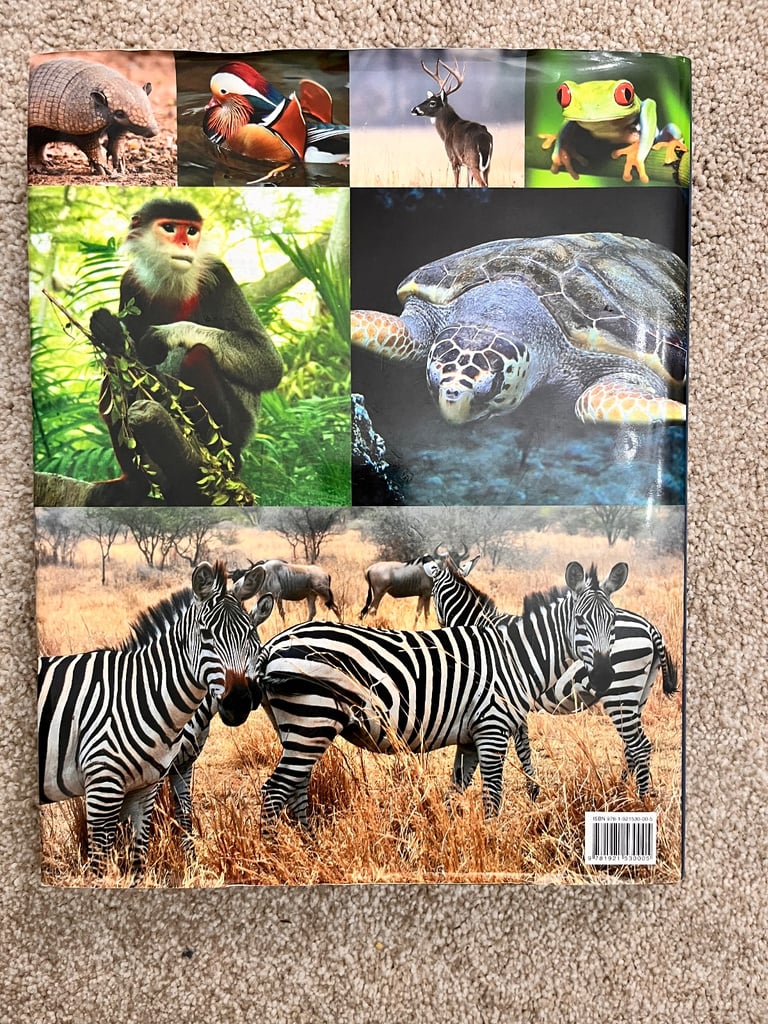 The Illustrated Atlas of Wildlife 