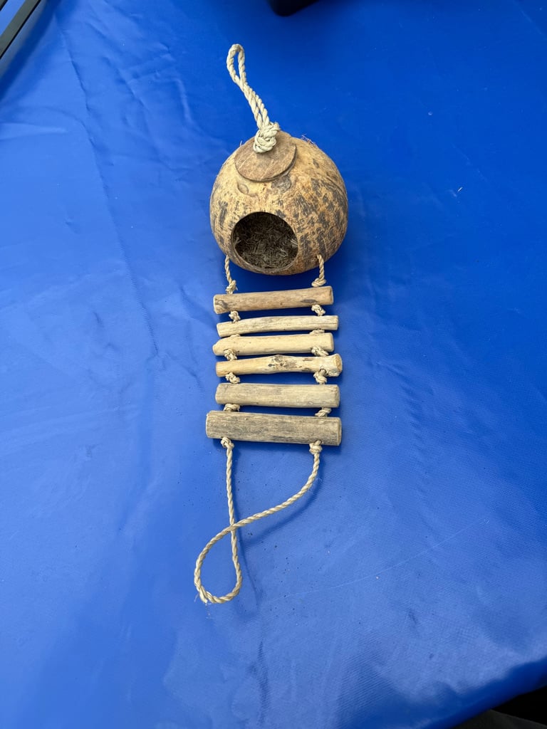 image for Coconut hanging hide