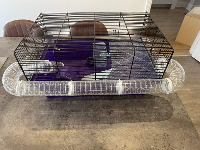 Hamster cage