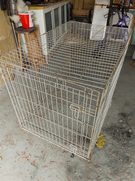 dog cage large 