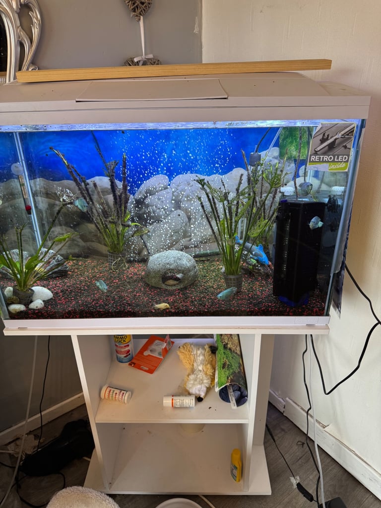 Fish tank and stand holds 160litres