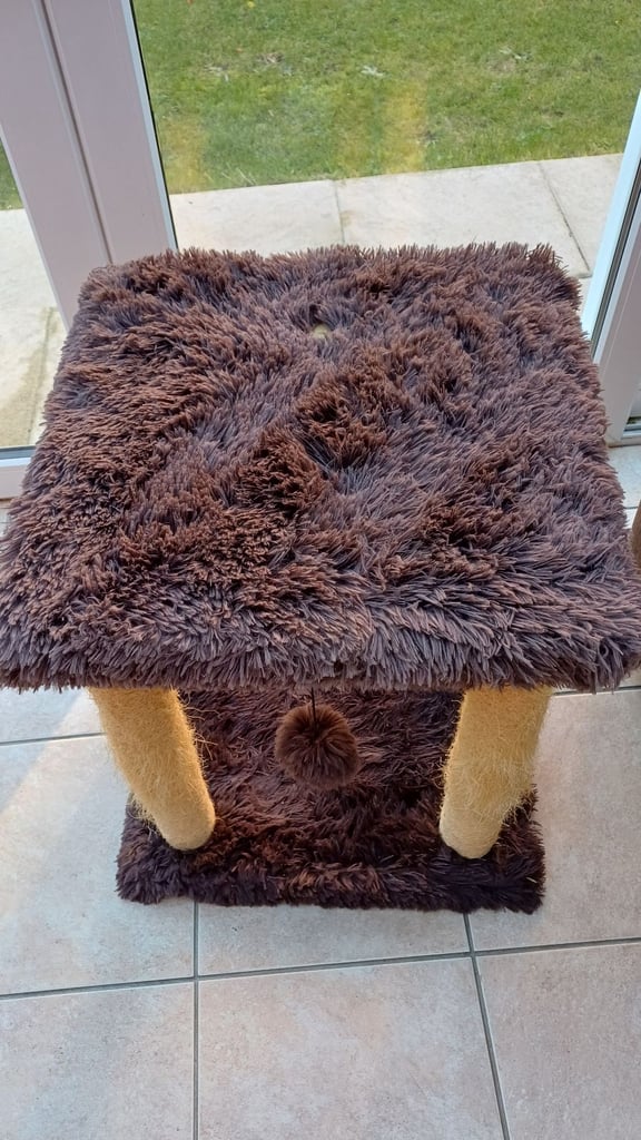 Cat beds, caves, blankets, grooming, scratch posts,litter tray