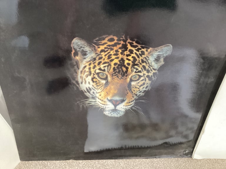Choice of 6 Vintage Jaguar/Daimler Calendars,1992,1993,1995,1996,1997,1998.