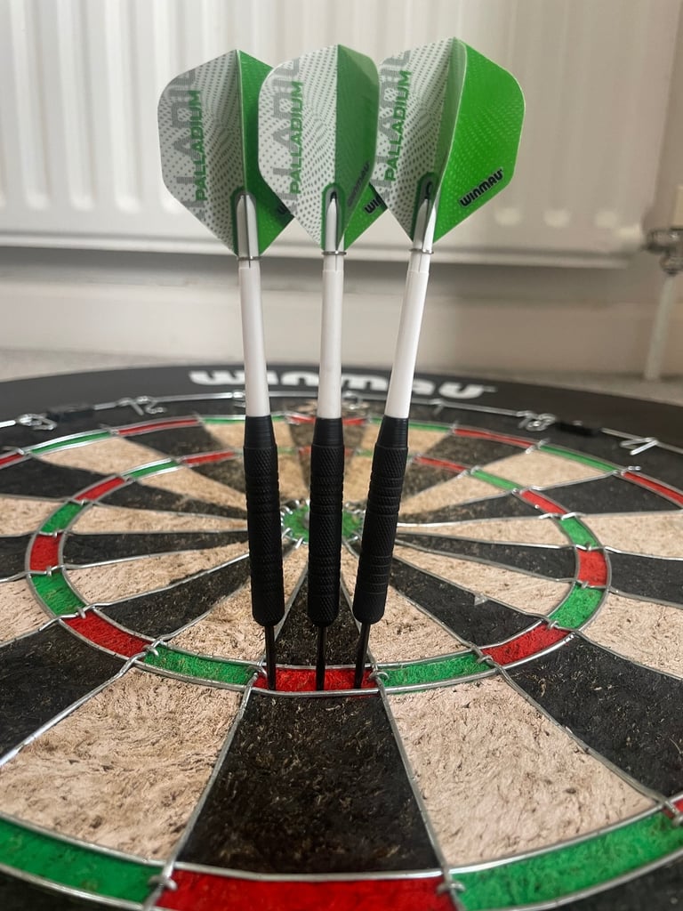 Winmau Dartboard