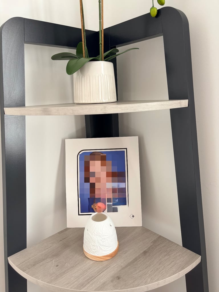 Next Grey Bronx Ladder shelf 