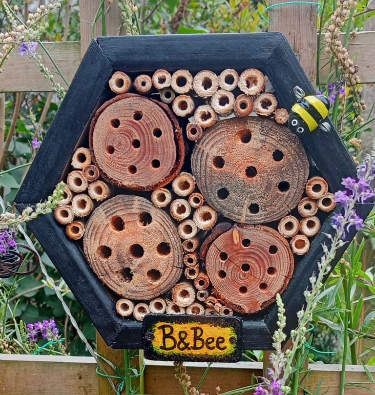 image for Bee Hotel ( B & Bee )     --LAST ONE--