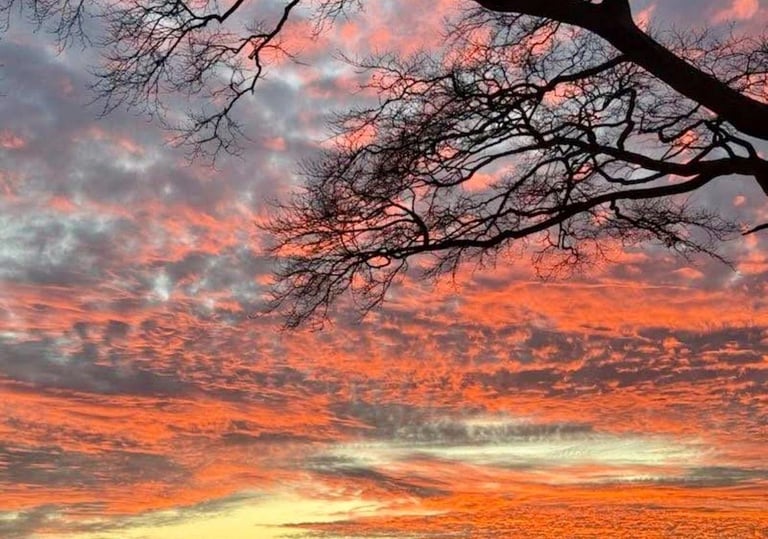 Willerby Dorchester in Angus  - Lodge / Caravan 