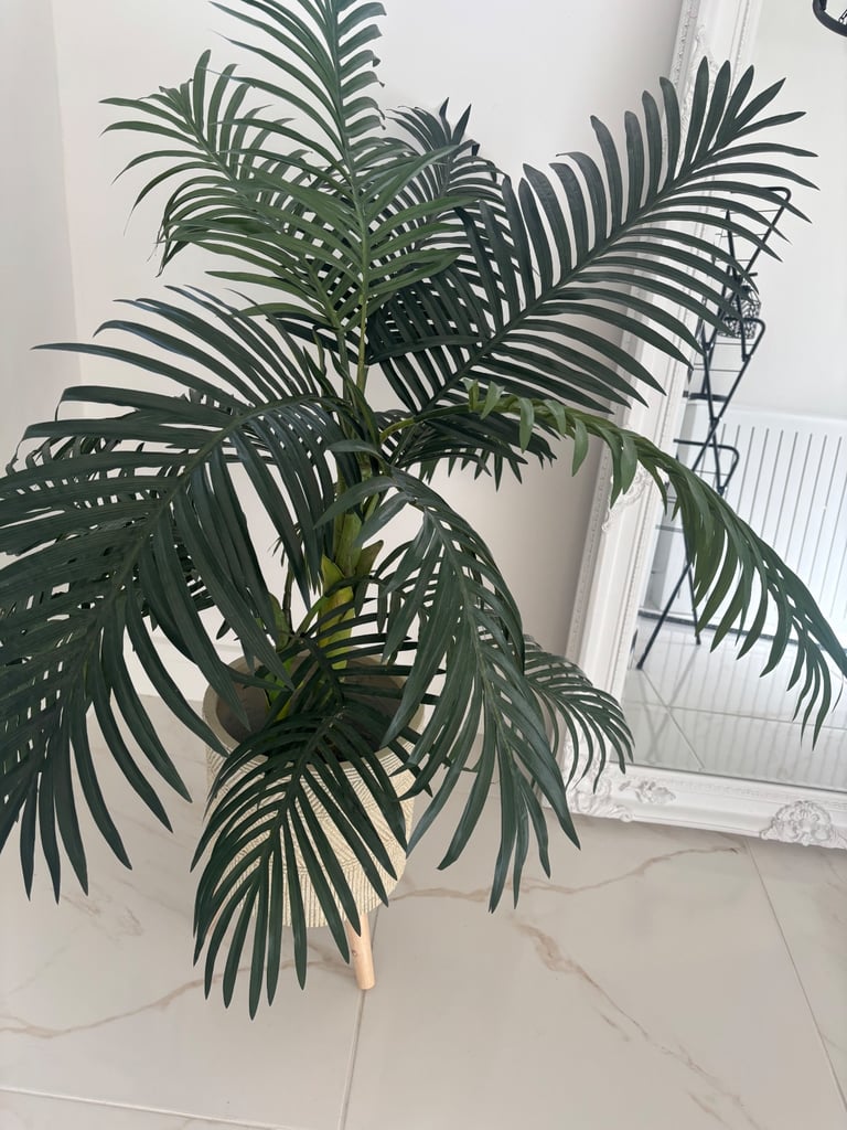 image for Plant and planter 