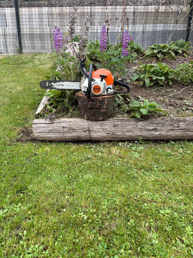 image for Stihl ms181c ergostart