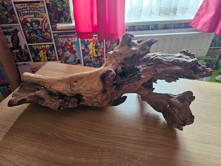 Wood accessory for reptiles 