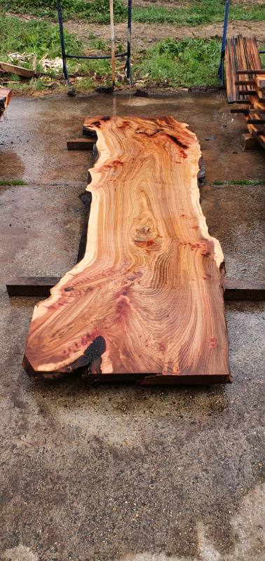 Large English Red Elm Timber Hardwood Slabs 2.8m 🌳 Live Edge