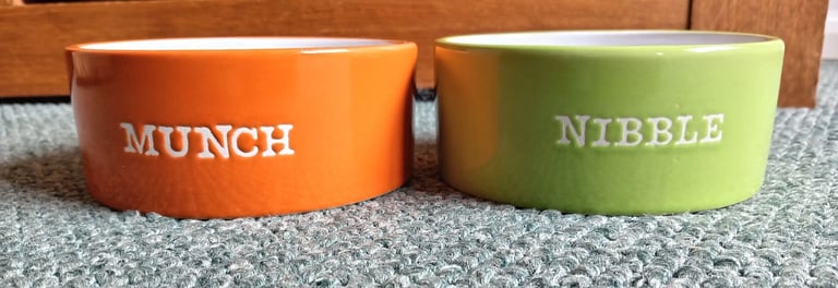 image for 2 Mason Cash Small Animal Pet Bowls