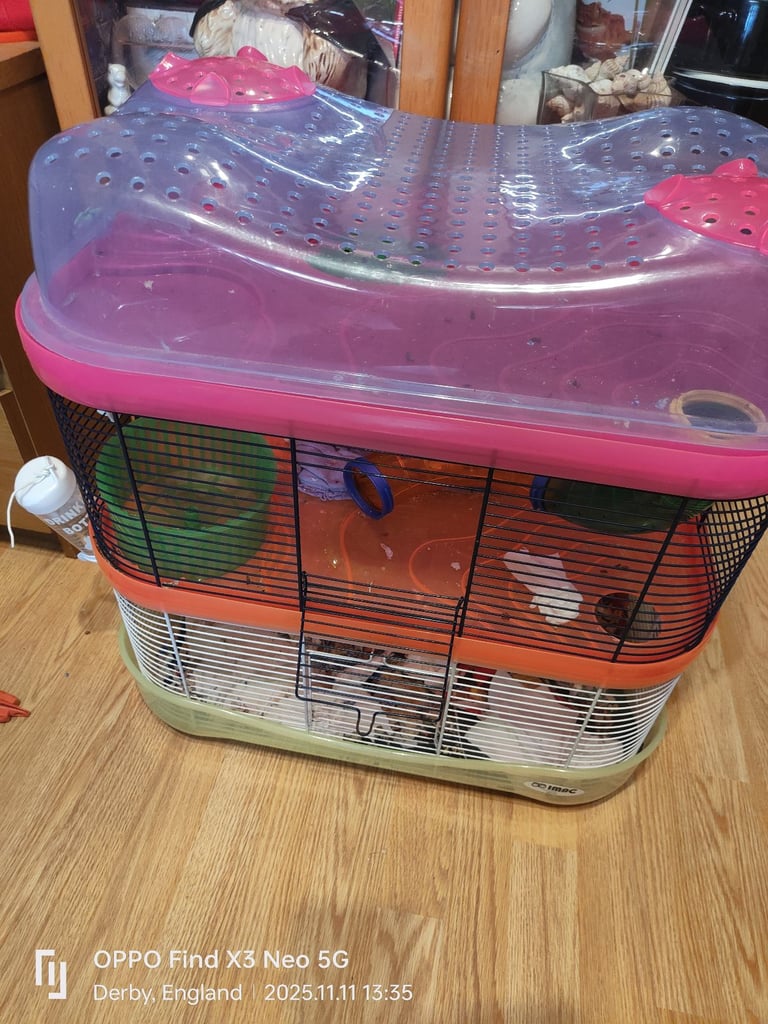 image for Hamster female with cage