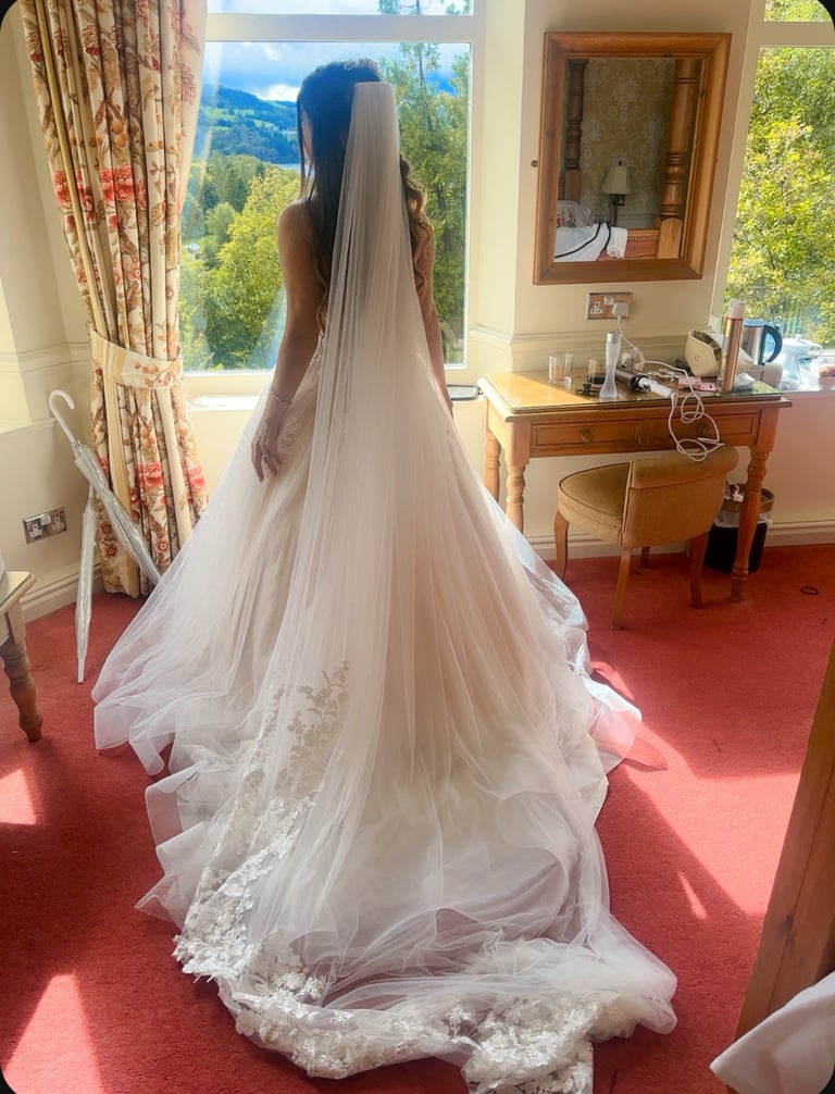 Dream Wedding Dress + Long Veil + Petticoat
