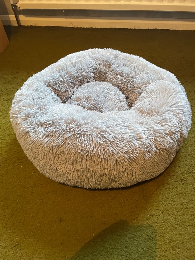 Cat bed